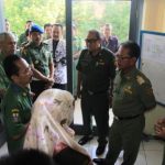 Walikota Monitoring Pelaksanaan Ujian Nasional