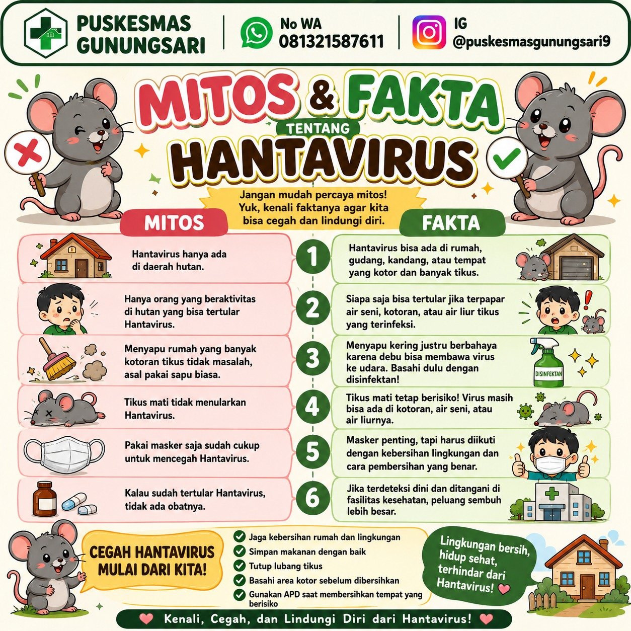 MENGENAL MITOS DAN FAKTA TENTANG HANTAVIRUS